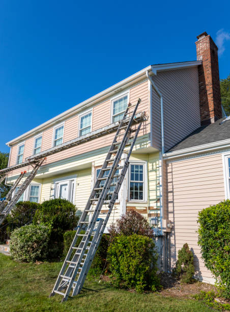 Best Attic Cleanout  in Independence, LA